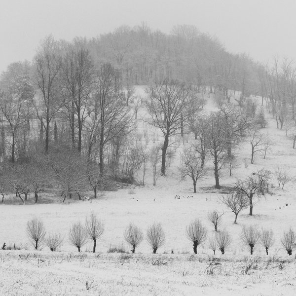 Photography by PozZz85 for DesignCrowd (Community Contests) | Design #8949158