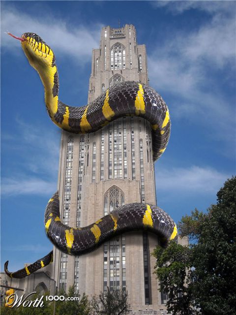 Photoshop Design by rayhyde