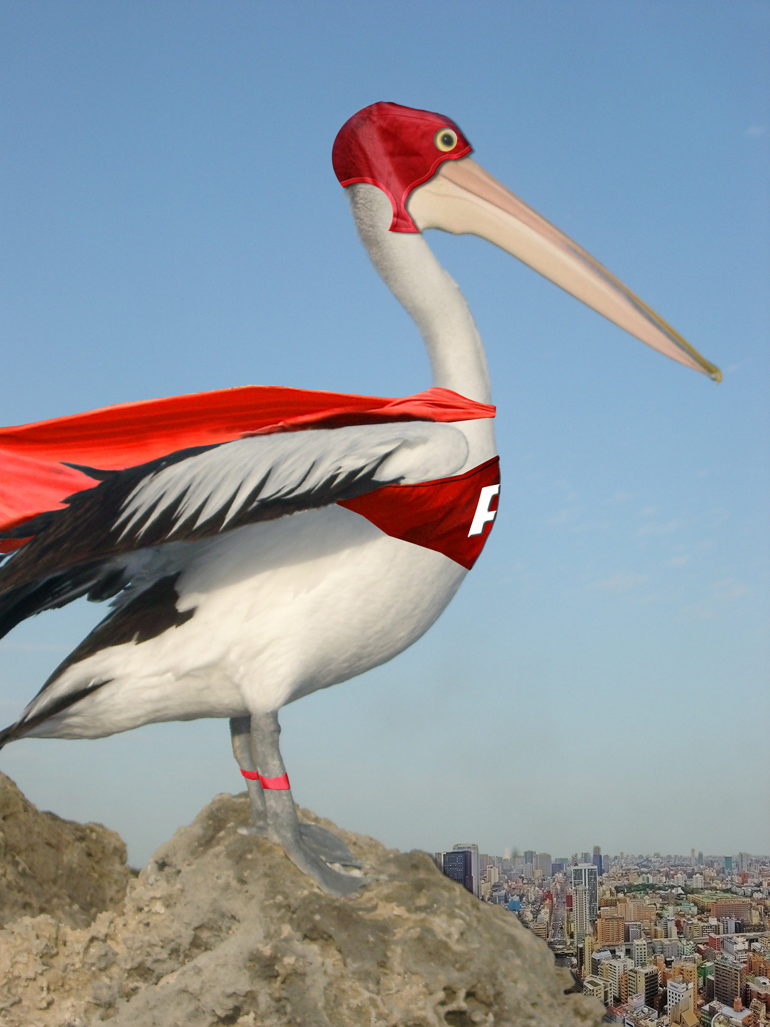 Design Photoshop par stormr pour DesignCrowd (Community Contests) | Design #8950442