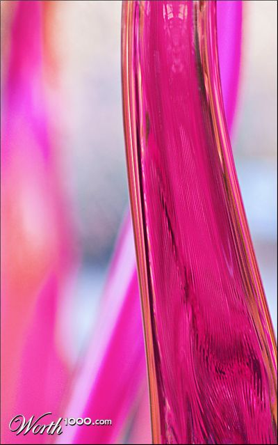 Photography by cakeladybarb