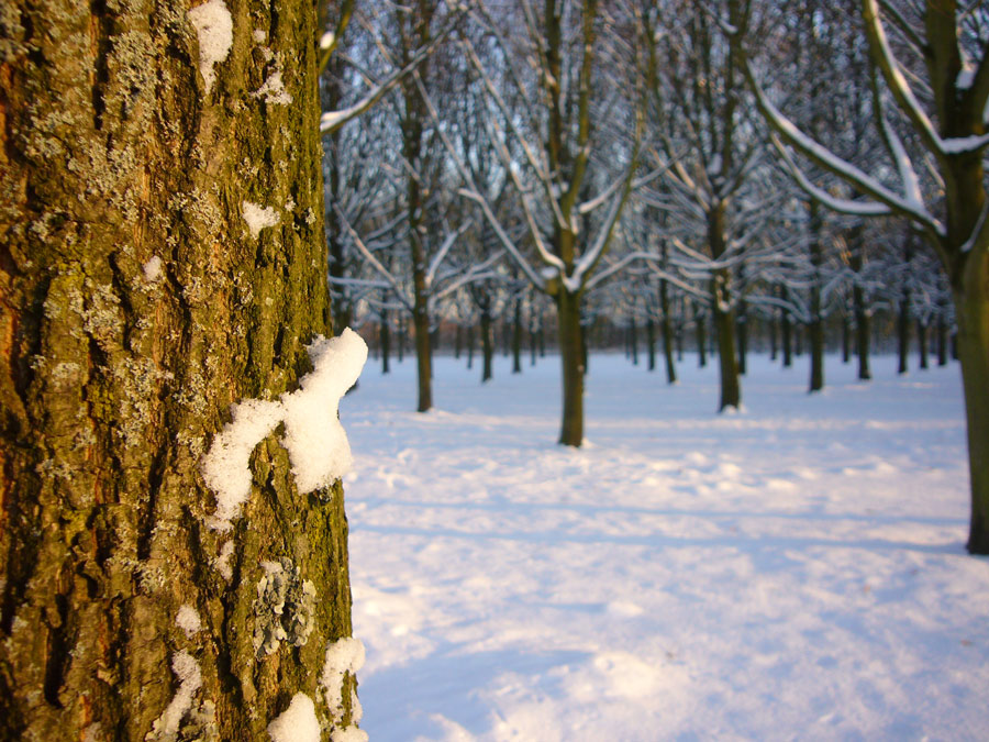 Fotografie von TuuReluur für DesignCrowd (Community Contests) | Design #8949140