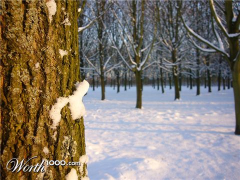 Photography by TuuReluur