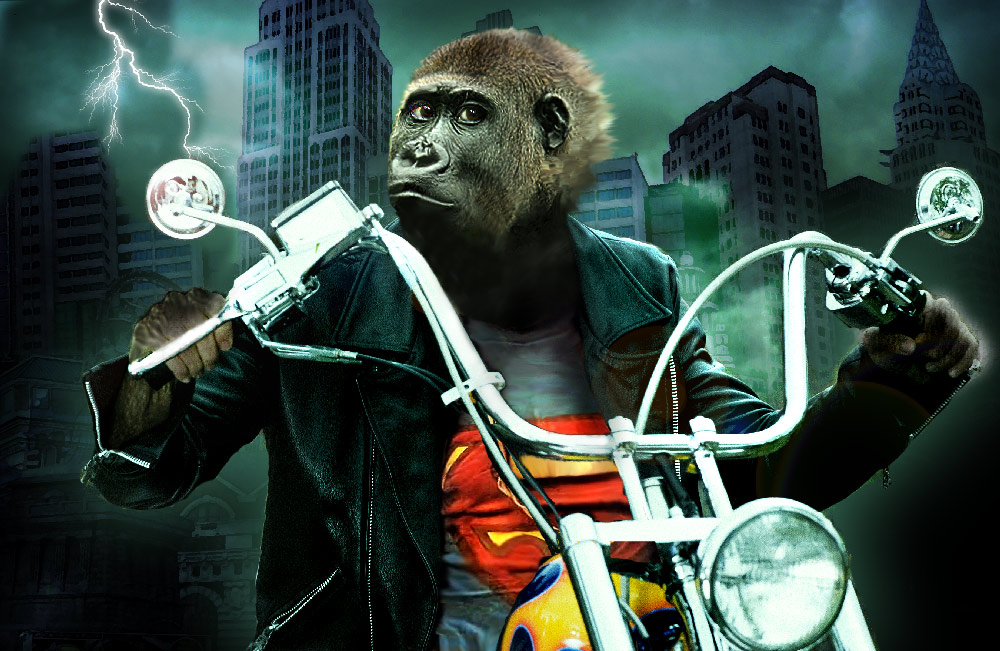 Diseño de Photoshop por Stella63 para DesignCrowd (Community Contests) | Diseño #8950477