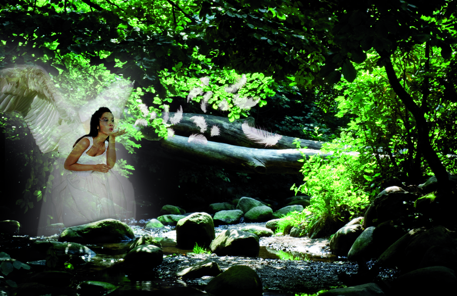 Photoshop Design by DeLaars for DesignCrowd (Community Contests) | Design #8952885