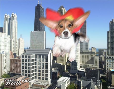 Photoshop Design by GutsAndGlory