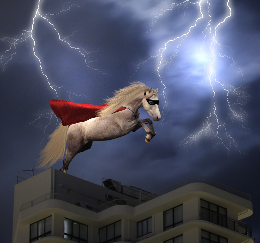 Photoshop Design by MistyBlue2010 for DesignCrowd (Community Contests) | Design #8950489