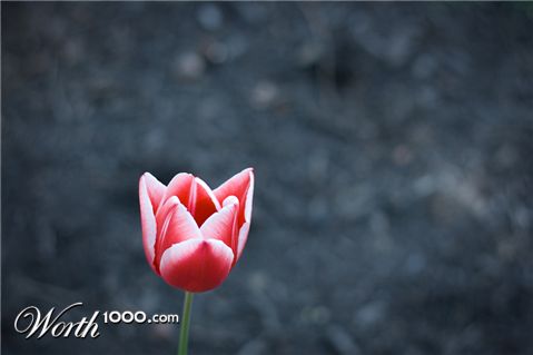 Photography by poc0loco