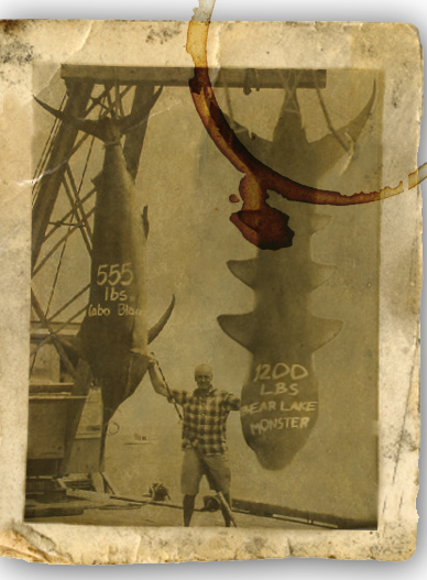 Design Photoshop par jackieboi pour DesignCrowd (Community Contests) | Design #8952934