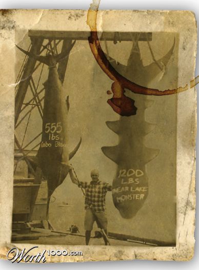 Photoshop Design by jackieboi