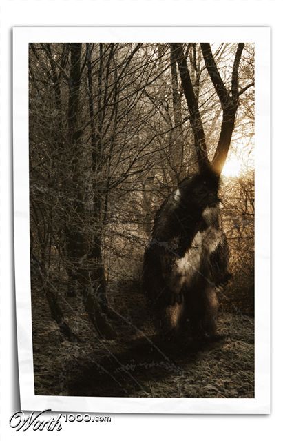 Photoshop Design by jbuchmann55