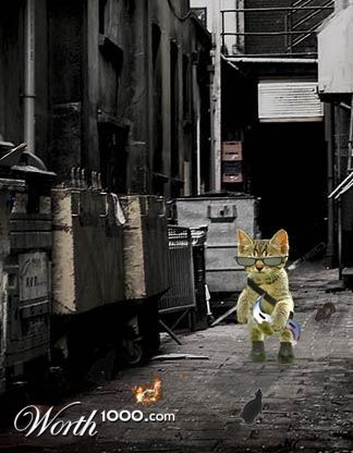 Photoshop Design by LiquidG0ld