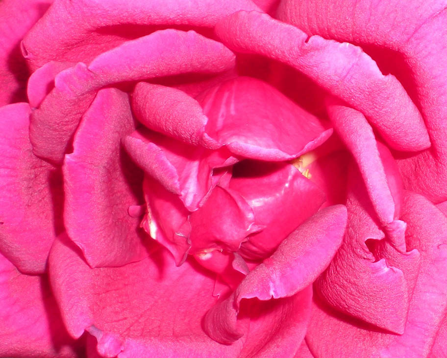 Fotografía por TRANSCENDENTalMAN para DesignCrowd (Community Contests) | Diseño #8950485