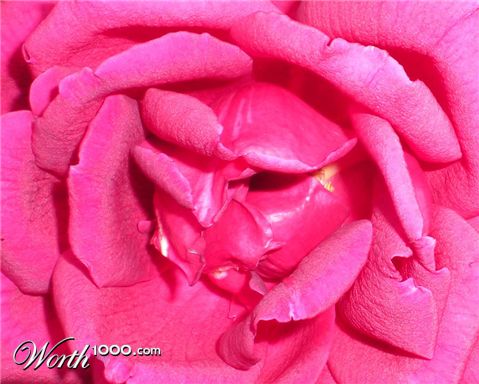 Photography by TRANSCENDENTalMAN