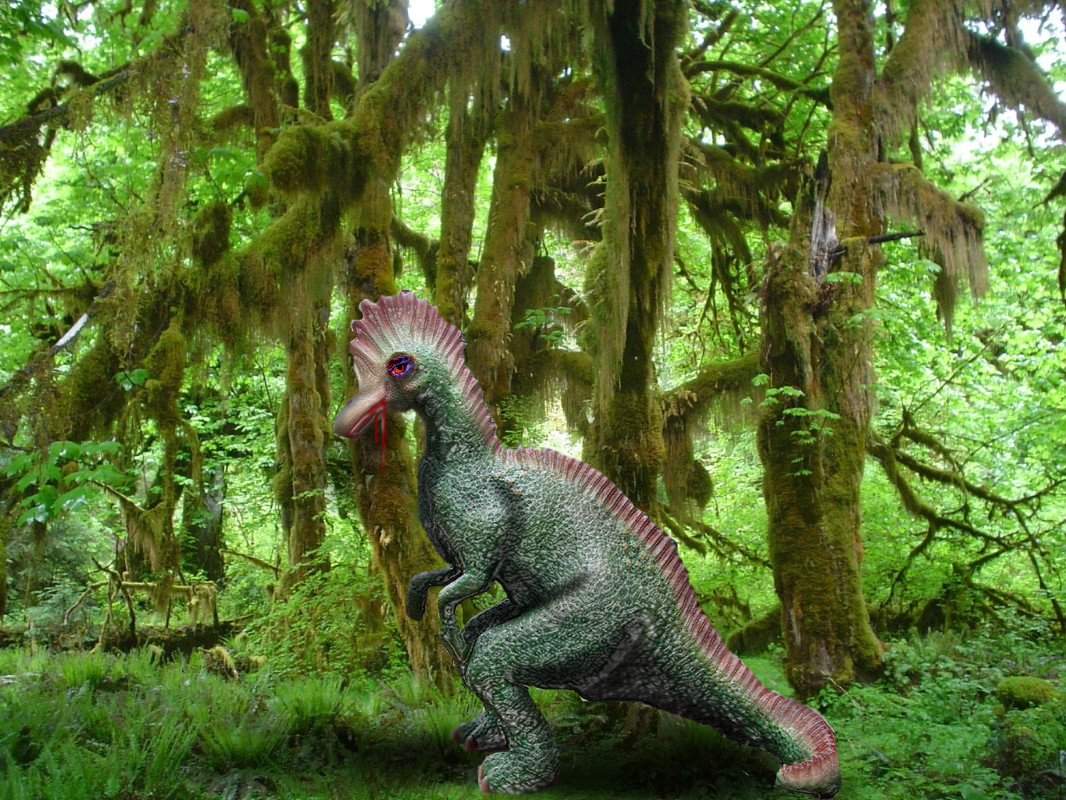 Photoshop Design by rayhyde for DesignCrowd (Community Contests) | Design #8953914