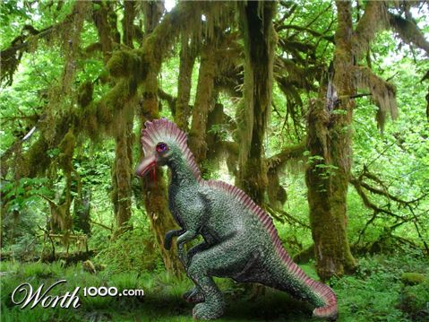 Photoshop Design by rayhyde