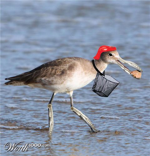 Photoshop Design by kwize53