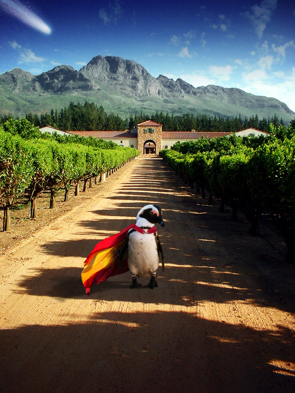 Photoshop Design by Brejk06 for DesignCrowd (Community Contests) | Design #8950520