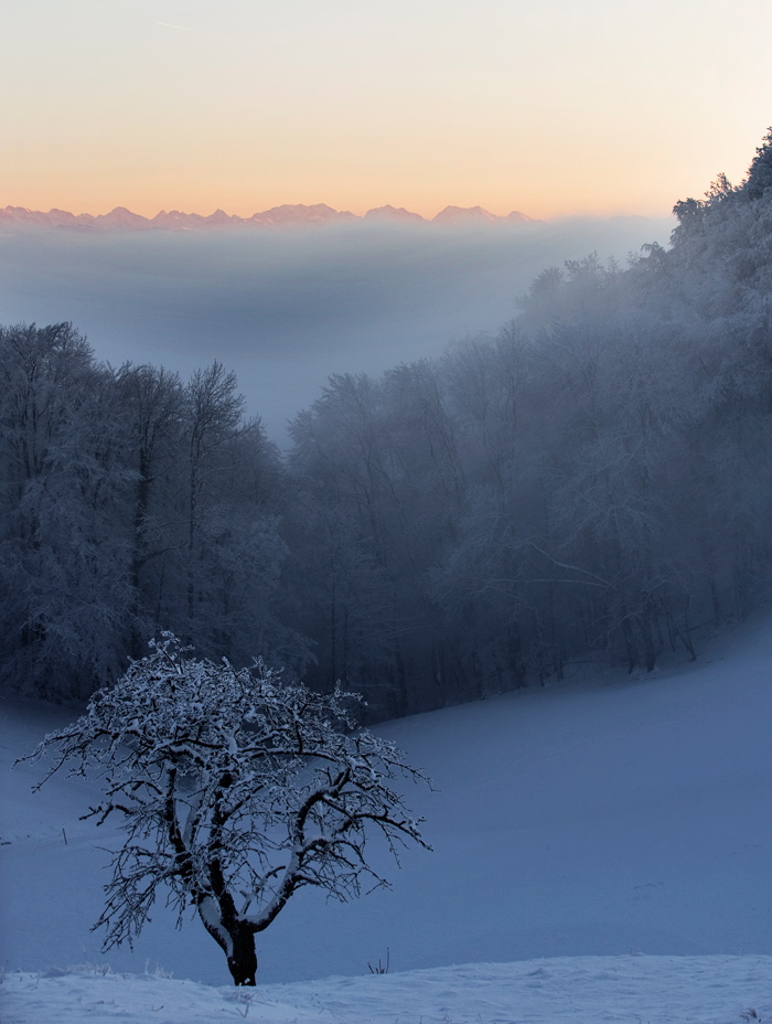 Fotografie von chatwin68 für DesignCrowd (Community Contests) | Design #8949162