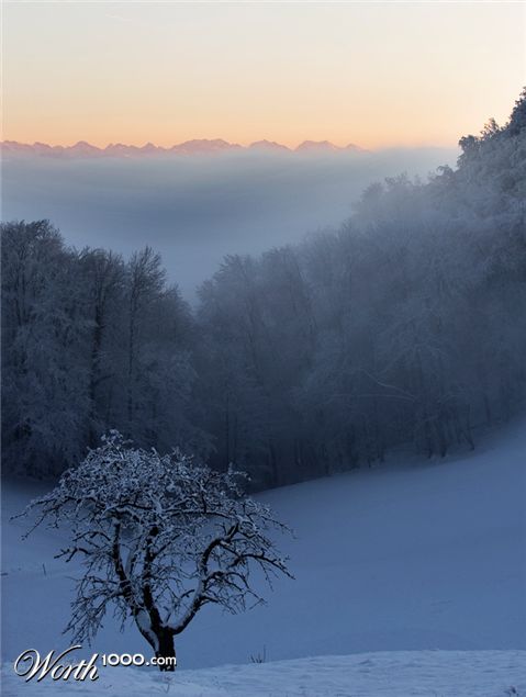 Photography by chatwin68