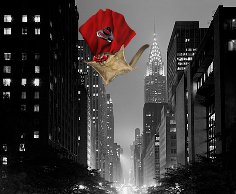 Design Photoshop par rmurrell2011 pour DesignCrowd (Community Contests) | Design #8950543
