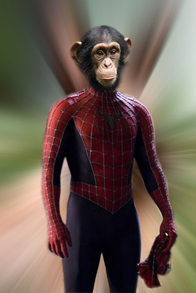 Photoshop Design by Jozznann for DesignCrowd (Community Contests) | Design #8950515