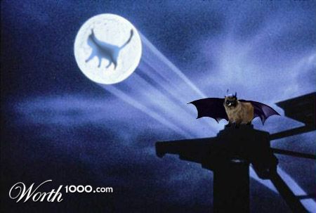 Photoshop Design by GByrd1982