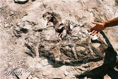 Photoshop Design by castagnes