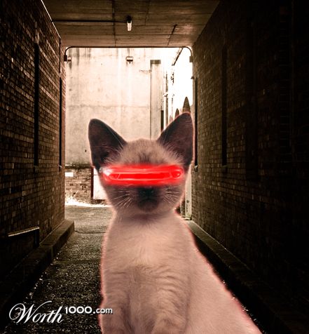 Photoshop Design by TheAlunBr