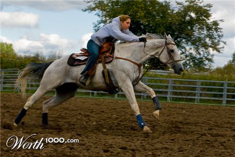 Photography by Snakeyesman