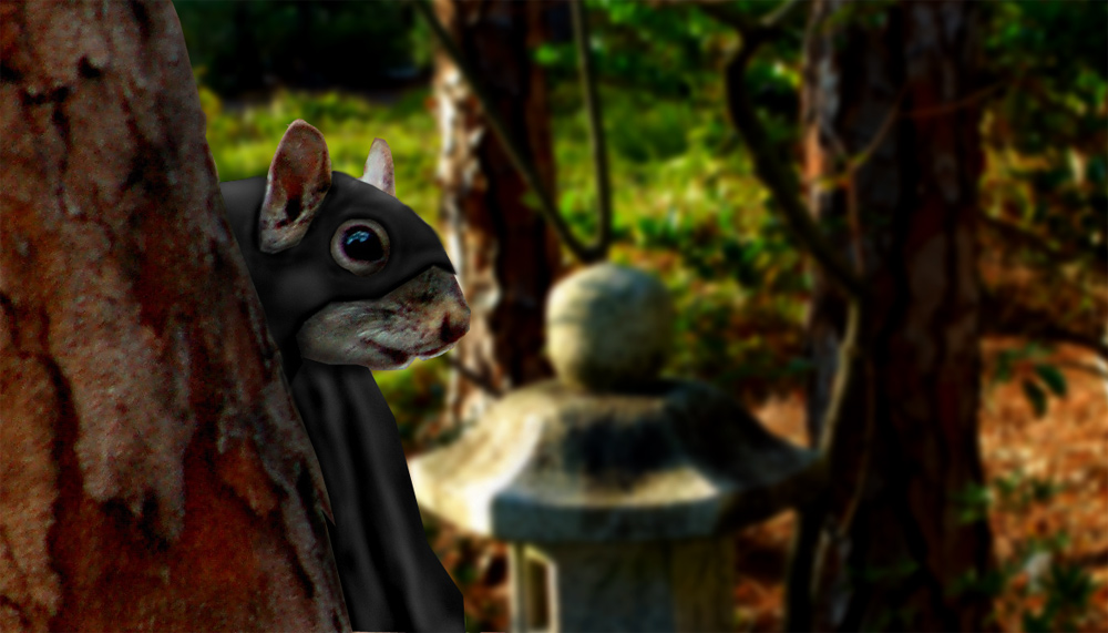 Photoshop Design by margold for DesignCrowd (Community Contests) | Design #8950614