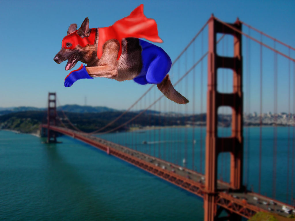 Diseño de Photoshop por MrGone para DesignCrowd (Community Contests) | Diseño #8950609