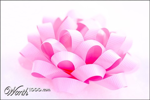 Photography by suram8456