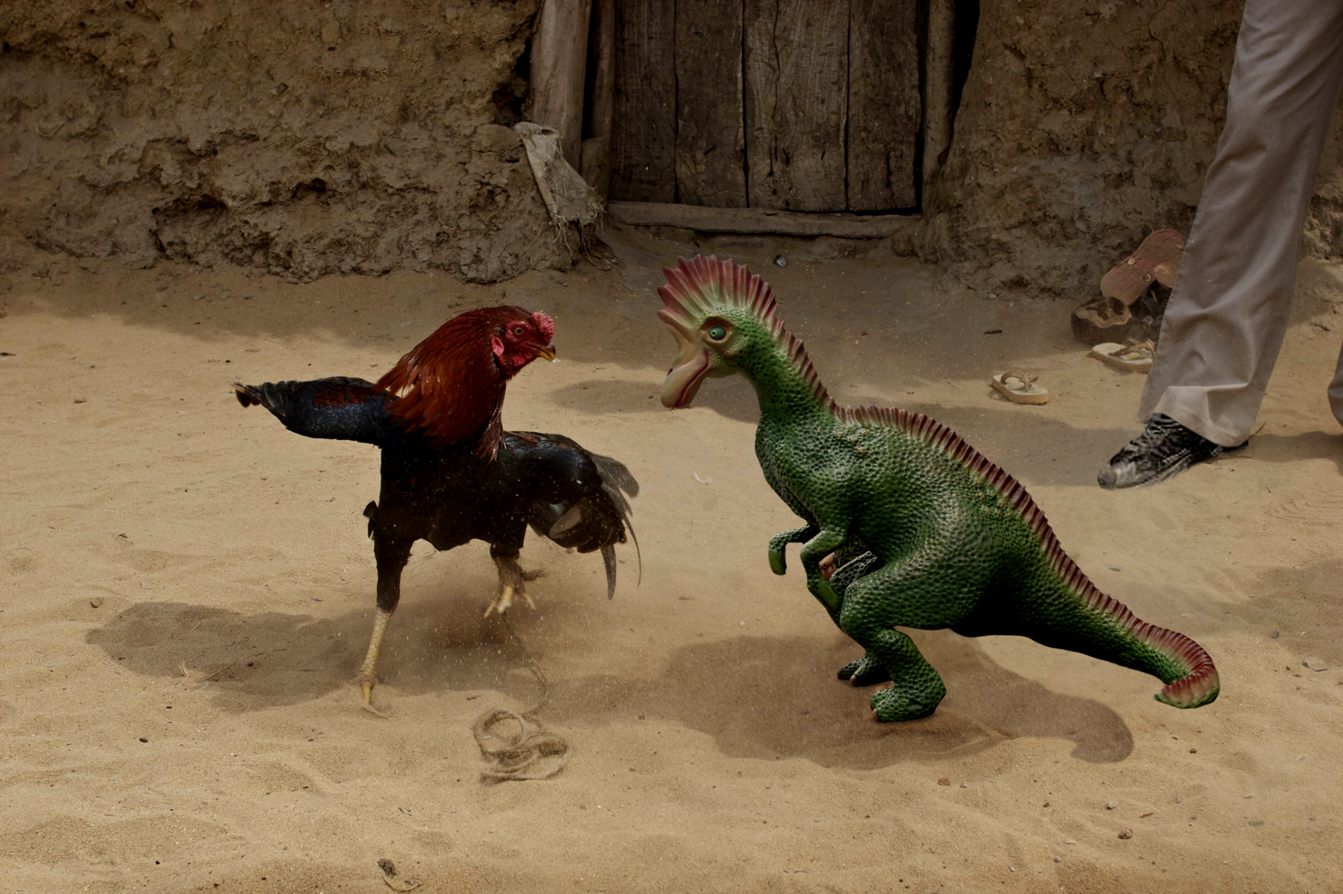 Diseño de Photoshop por 4evrblu para DesignCrowd (Community Contests) | Diseño #8953947