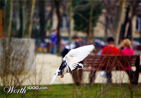 Photography by bbcversus