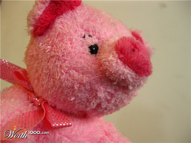 Photography by antully for DesignCrowd (Community Contests) | Design #8950600