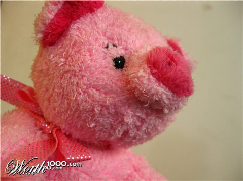 Photography by antully