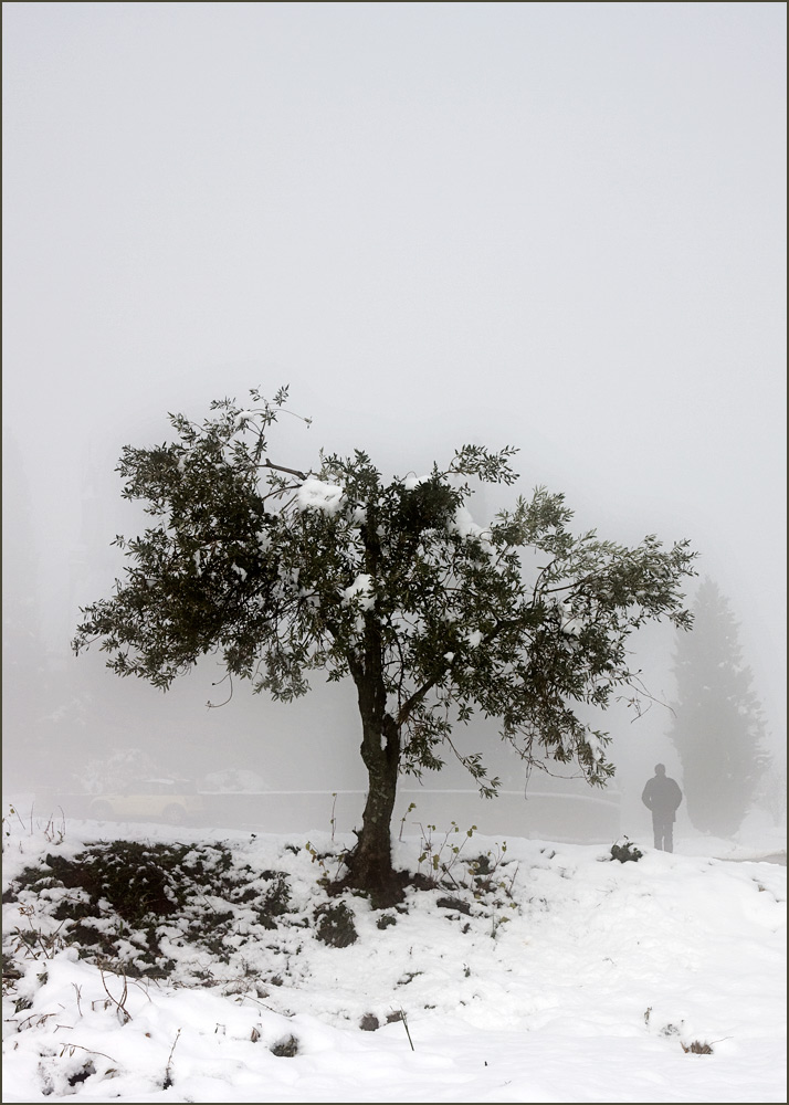 Photography by damas100 for DesignCrowd (Community Contests) | Design #8949209