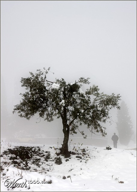 Photography by damas100
