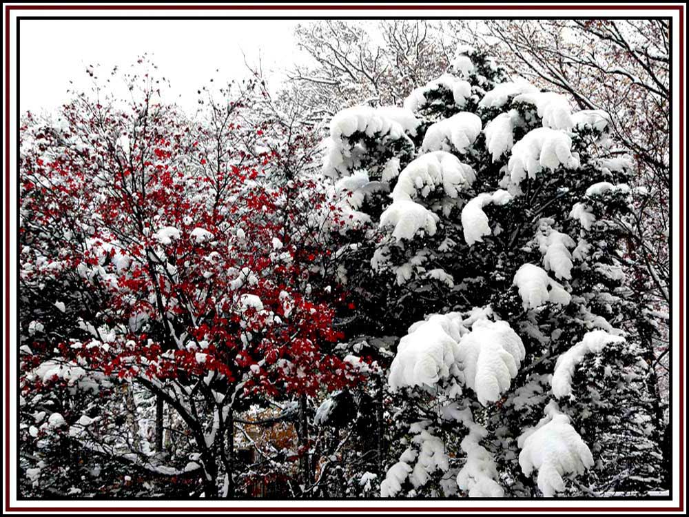 Fotografie von sgatanstu für DesignCrowd (Community Contests) | Design #8949274