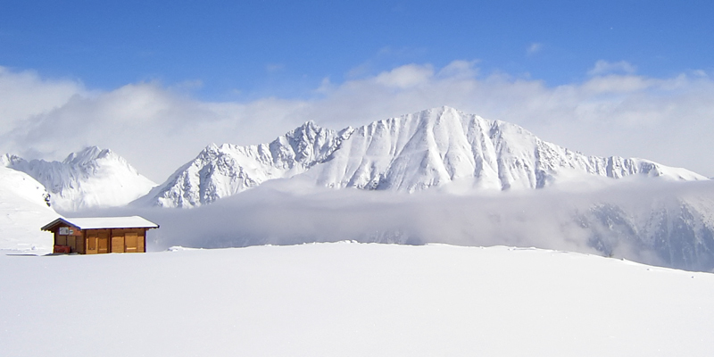 Fotografie von samsemila4u für DesignCrowd (Community Contests) | Design #8949284