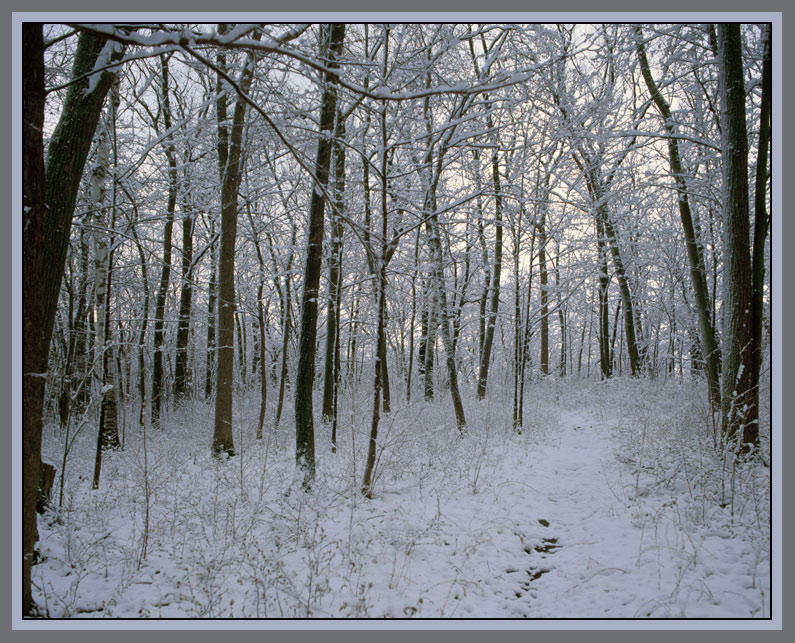 Photographie par northman pour DesignCrowd (Community Contests) | Design #8949282