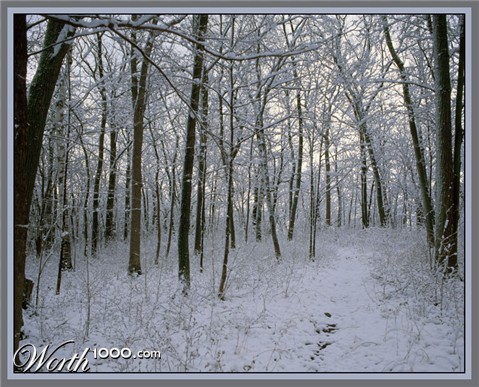 Photography by northman