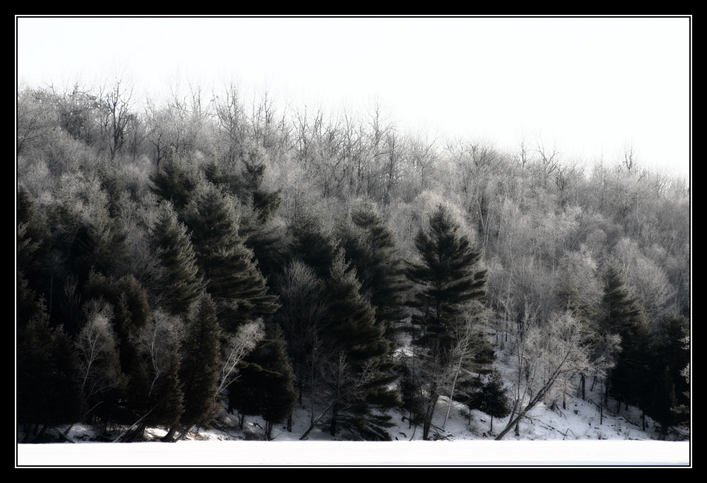 Photographie par SigloV pour DesignCrowd (Community Contests) | Design #8949213