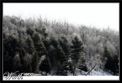 Photography by SigloV