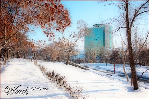 Photography by Hangerhead