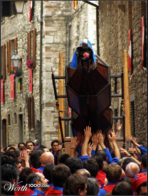 Photography by downknew