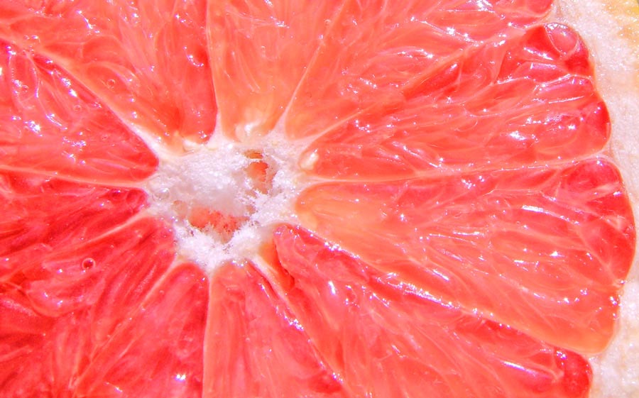 Fotografía por Isengard340 para DesignCrowd (Community Contests) | Diseño #8950501