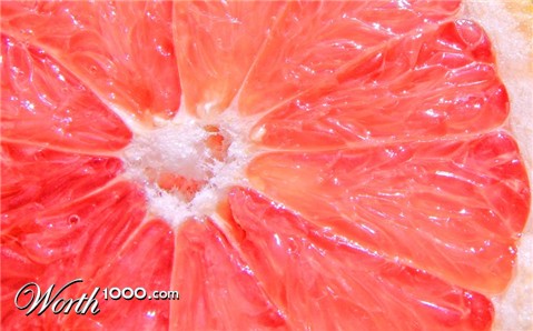 Photography by Isengard340