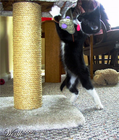 Photography by Rubees