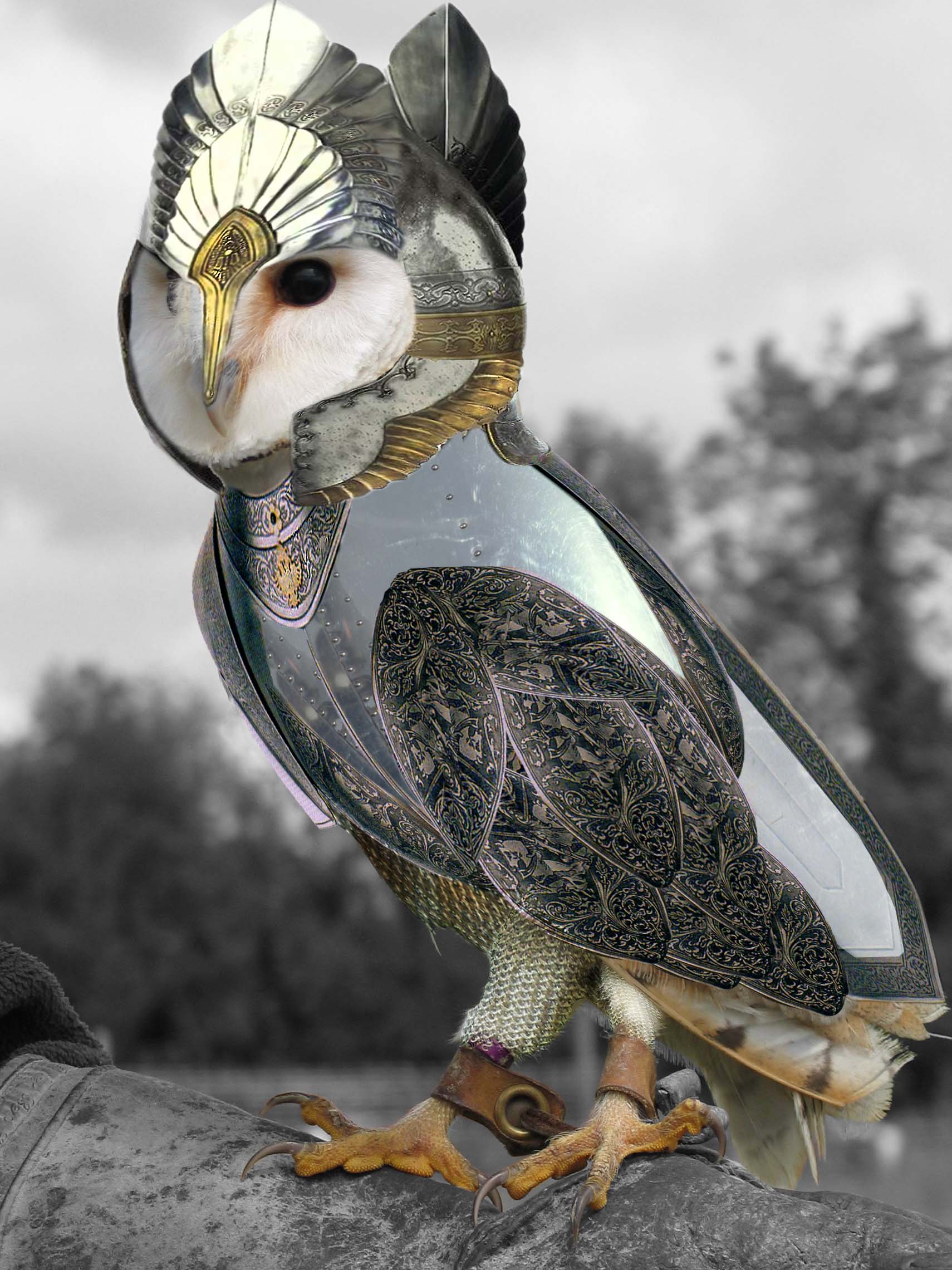 Photoshop Design by carmanyola for DesignCrowd (Community Contests) | Design #8953124